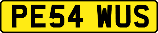 PE54WUS