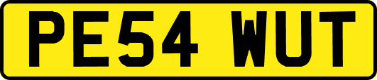 PE54WUT