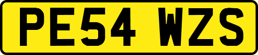 PE54WZS