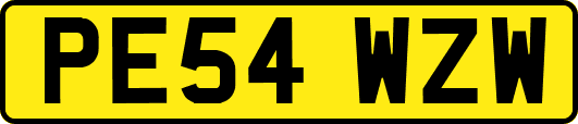 PE54WZW