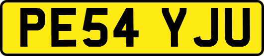 PE54YJU