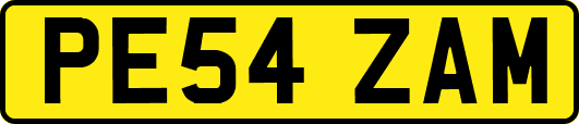 PE54ZAM