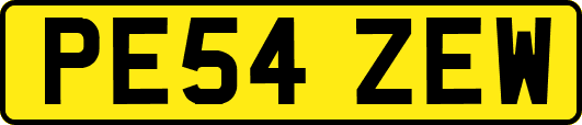 PE54ZEW