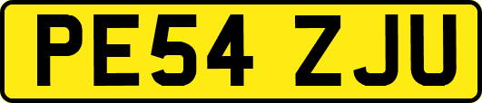 PE54ZJU