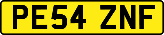 PE54ZNF