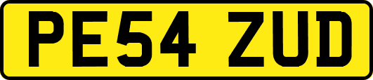 PE54ZUD