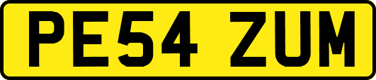 PE54ZUM