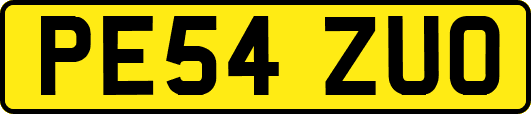 PE54ZUO