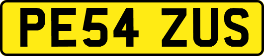 PE54ZUS