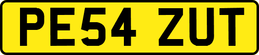 PE54ZUT