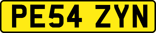 PE54ZYN