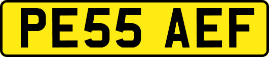 PE55AEF