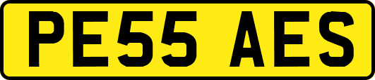 PE55AES