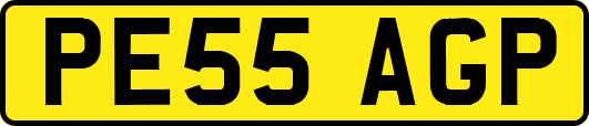 PE55AGP