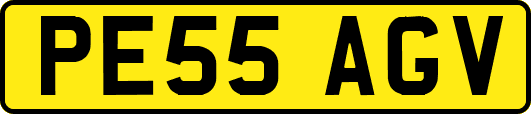 PE55AGV