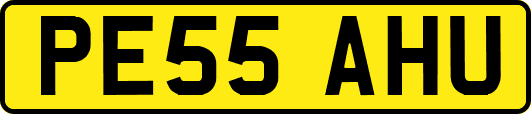 PE55AHU