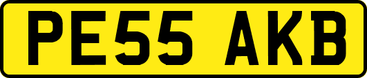 PE55AKB