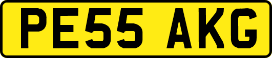 PE55AKG
