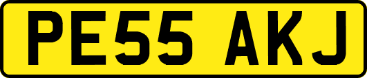 PE55AKJ