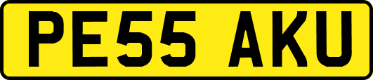 PE55AKU