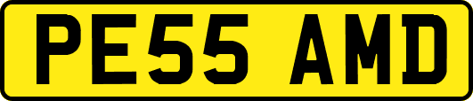 PE55AMD