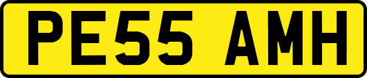 PE55AMH