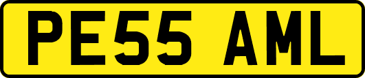 PE55AML