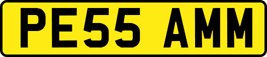 PE55AMM