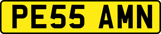 PE55AMN