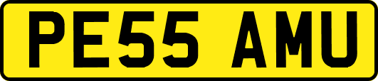 PE55AMU