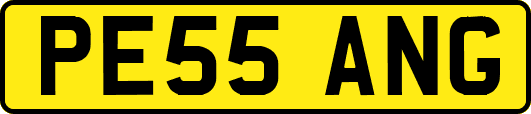 PE55ANG