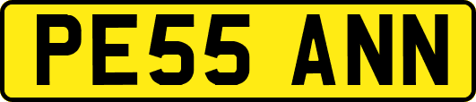PE55ANN