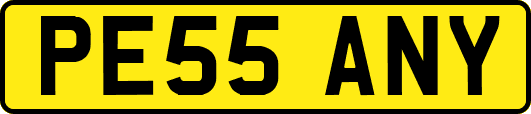 PE55ANY