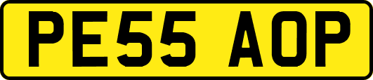 PE55AOP