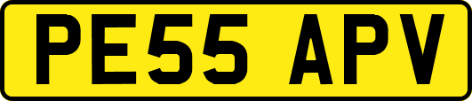 PE55APV