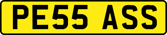 PE55ASS