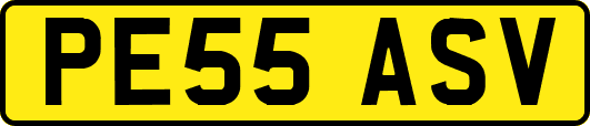 PE55ASV