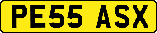 PE55ASX