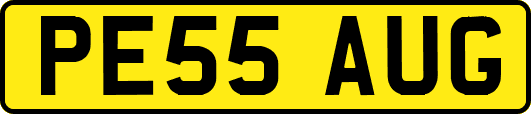 PE55AUG
