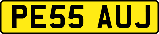 PE55AUJ
