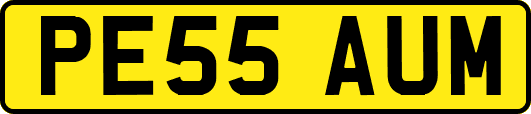 PE55AUM