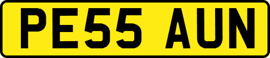 PE55AUN