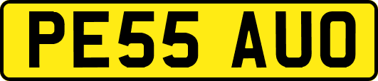 PE55AUO