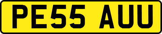 PE55AUU