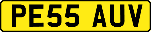 PE55AUV