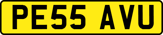PE55AVU