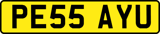 PE55AYU