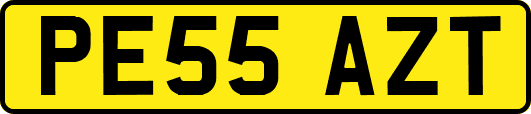 PE55AZT