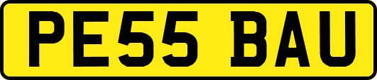 PE55BAU