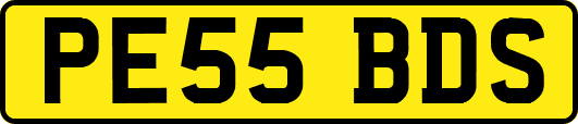 PE55BDS